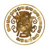 Logo Dragon Coins