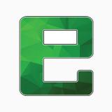 Logo E-Currency Coin