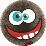 Logo FuzzBalls