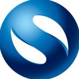 Logo Skeincoin