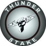 Logo Thunderstake