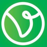 Logo VikkyToken