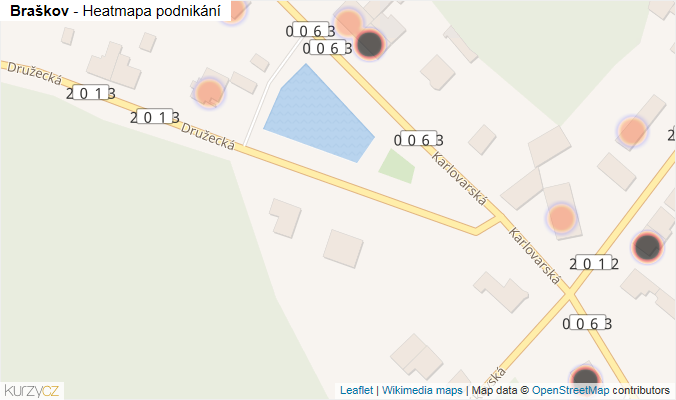 Mapa Braškov - Firmy v obci.