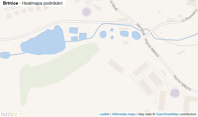 Mapa Brtnice - Firmy v obci.