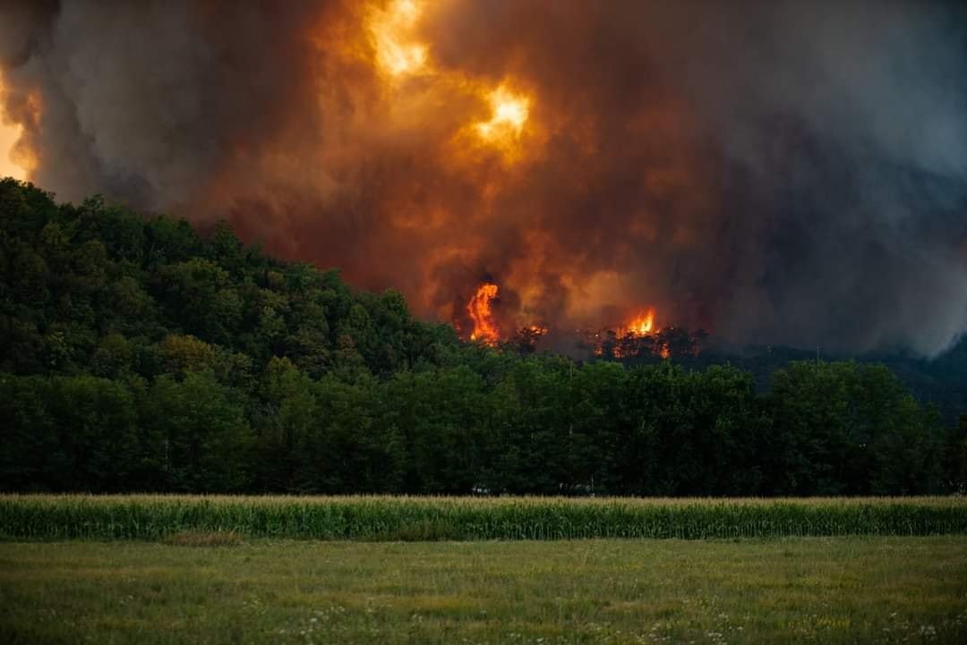 Incendio al confine italo-sloveno – ATTENZIONE
