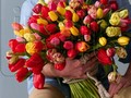 Proč je nepřekvapit romantickými tulipány